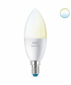 WiZ, Tunable White, Kerte, E14, 1 Pære, Mat, 40W, 220-240V