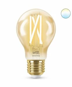 WiZ, Tunable White, Standard, E27, 1 Pære, Guld, 50W, 220-240V